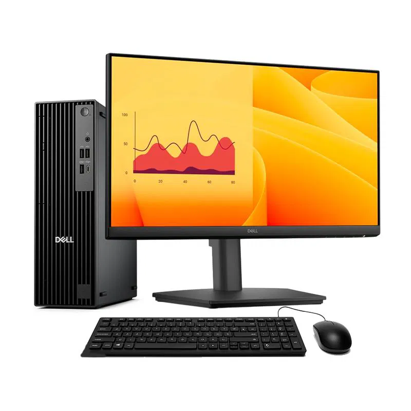 Combo monitor E2225HSM + DELL PRO QCS1250
